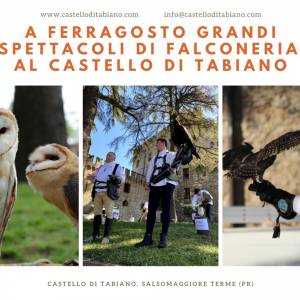 Claire picture of the event: GRANDI SPETTACOLI DI FALCONERIA - AQUILE E GUFI IN VOLO AL CASTELLO DI TABIANO